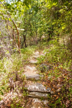 Merdivenlerin ve doğadaki geçitlerin fotoğrafı.