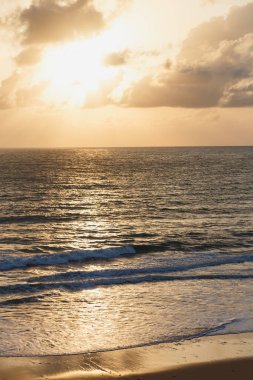 Deniz dalgası kumsalda