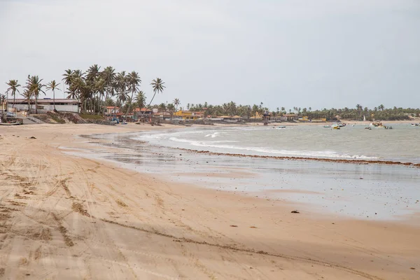 Plaże Brazylii Maracajau Rio Grande Norte State — Zdjęcie stockowe