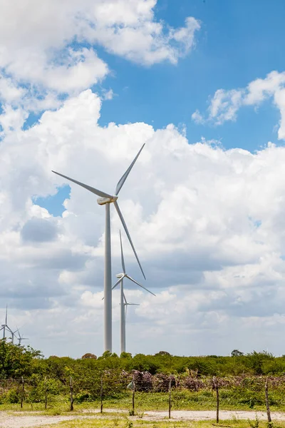 Energia Wiatrowa Zrównoważony Rozwój Zrównoważone Generatory Energii Pionowe — Zdjęcie stockowe