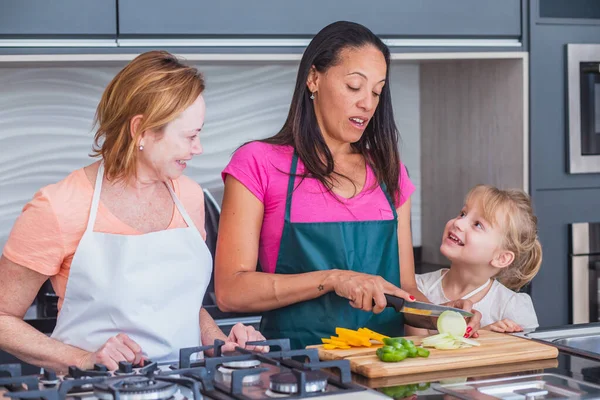 Happy LGBT family cooking. Happy mothers and daughter together