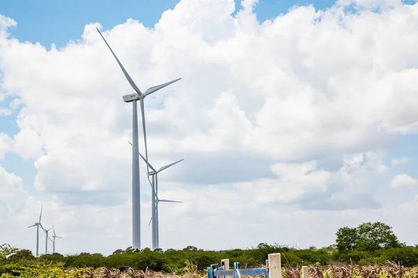Vindkraft Hållbarhet Hållbara Kraftgeneratorer — Stockfoto