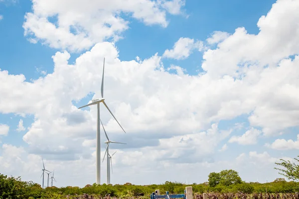 Vindkraft Hållbarhet Hållbara Kraftgeneratorer — Stockfoto