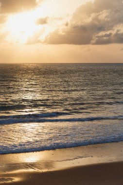 Deniz dalgası kumsalda