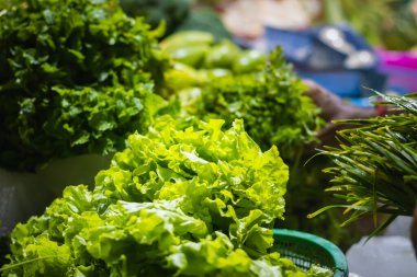 Taze yeşil marul yaprakları satmak için piyasada tutulur. Bu yapraklı sebzelerin birçok sağlık faydaları vardır..