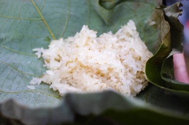 Buharda pişirilmiş beyaz pirinç, çevre dostu bir şekilde servis edilir. Meghalaya kabilesinde pirinç servis etme geleneği.