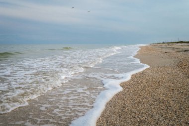 Deniz kıyısında küçük köpüklü dalgalar