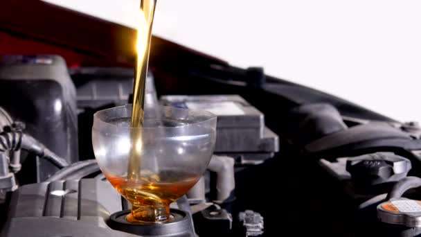 Filling Motor Oil Shining Sun Engine Car Service Seamless Video — Stockvideo