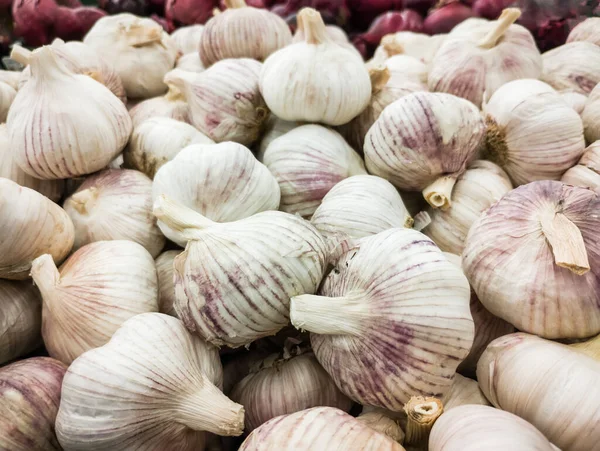 stock image Bunch of garlic (Allium sativum) on a market stall