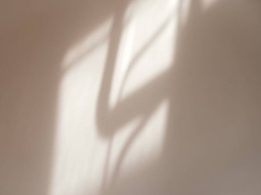 Soluk pembe bir duvarın penceresinden gelen güneş ışığı. Arkaplan