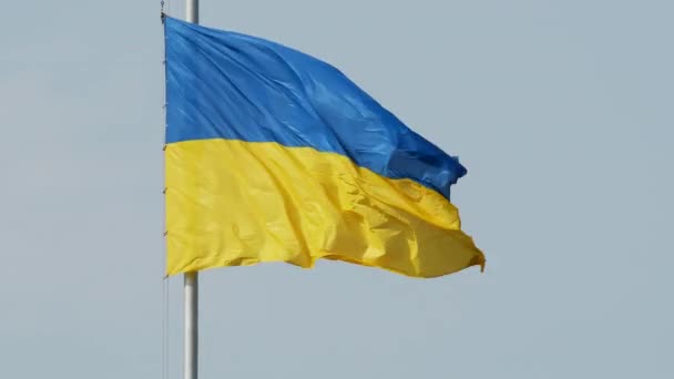 Bandera Nacional Ucrania Ondea Primer Plano Del Viento — Vídeos de Stock