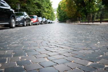 Yüksek ağaçların ve arabaların arka arkaya park ettiği kaldırımlı bir caddenin alçak pozisyonundan görüntüsü. Arkaplan