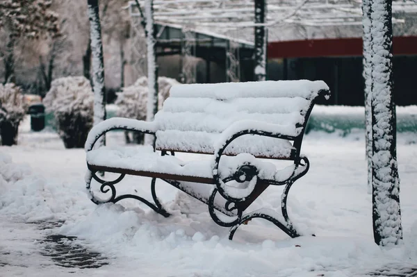 karla kaplı park bankında