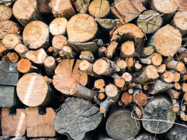 Farklı boyutlarda kesilmiş ve istiflenmiş odun..