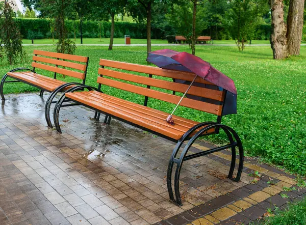 Şehir parkında yağmurdan sonra bankta unutulmuş bir şemsiye..