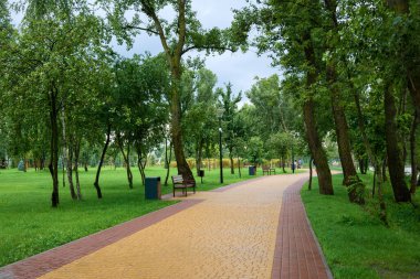 Kyiv, Ukrayna - 16 Haziran 2024: Bulutlu bir havada Obolonsky Adası 'ndaki eğlence alanının yaya yolu