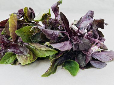 Bir demet taze fesleğen yaprağına yakın çekim.