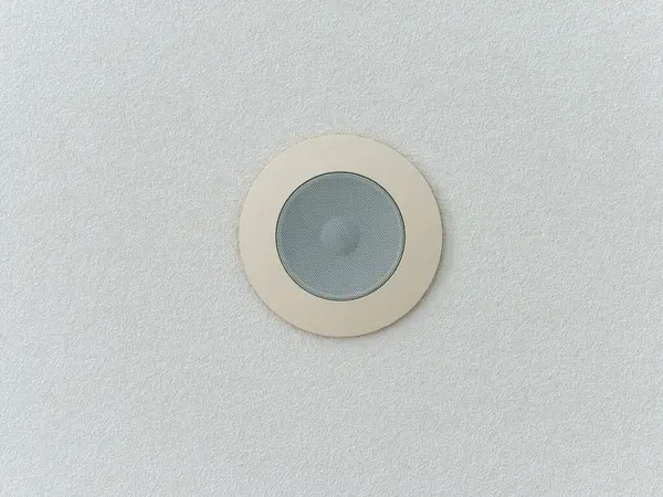 Tavan arası hoparlörünün beyaz tavan yüzeyindeki alt görüntüsü.