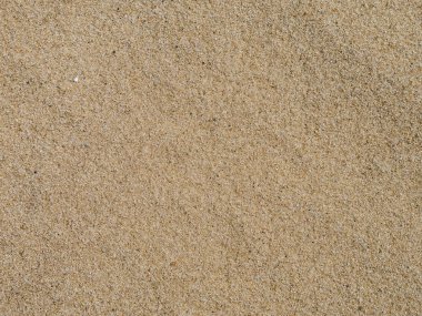 Kumsal manzaralı. Arkaplan.