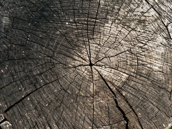 Eski, karanlık, yıpranmış, derin çatlakları olan kalın bir kereste kesiği..