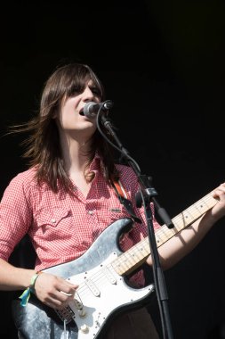 Austin Şehir Sınırları - Limon Dalları