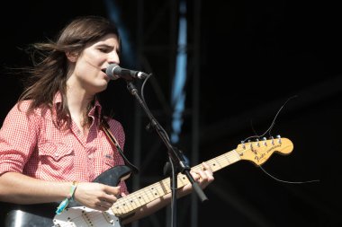 Austin Şehir Sınırları - Limon Dalları