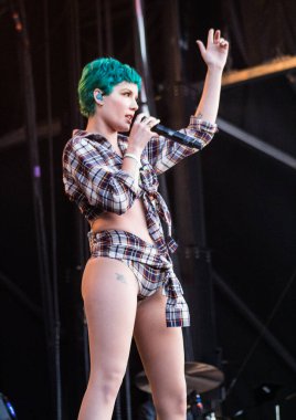 Bonnaroo Müzik ve Sanat Festivali - Halsey konserde