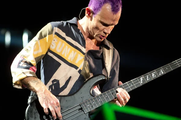 Austin City Limits Red Hot Chili Peppers Anthony Kiedis Flea — Foto de Stock