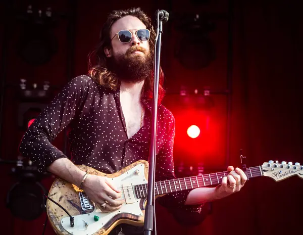 Bonnaroo Müzik ve Sanat Festivali - Peder John Misty konserde