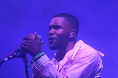 Bonnaroo Müzik ve Sanat Festivali - Frank Okyanusu konserde