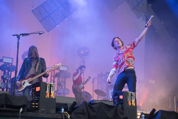Austin City Limits Kooi Olifant Concert — Stockfoto