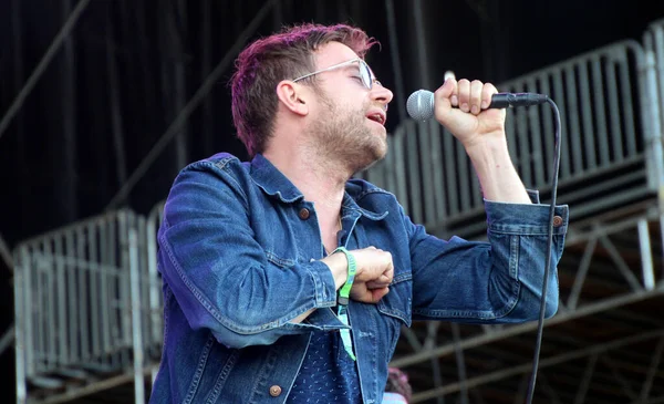 Bonnaroo Müzik ve Sanat Festivali - Damon Albarn konserde