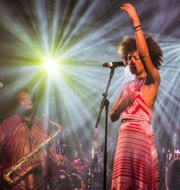 Bonnaroo Müzik ve Sanat Festivali - Konserde Superjam