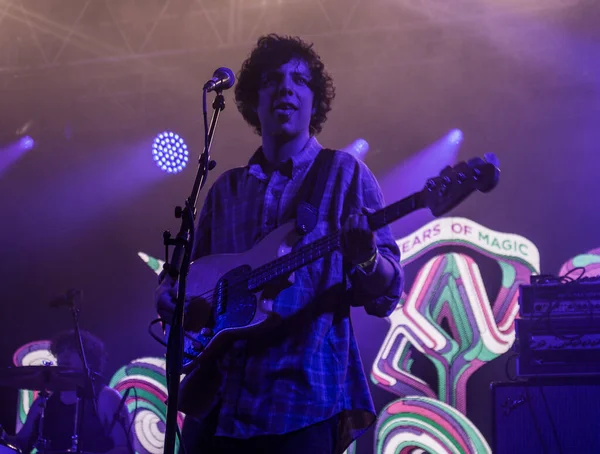 stock image The Bonnaroo Music and Arts Festival - Twin Peaks in concert