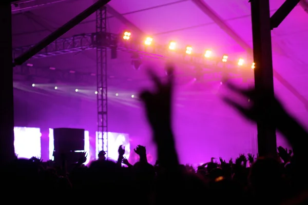 stock image Eaux Claires Festival - Crowrds at night