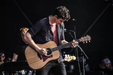 Vali Balosu - Shawn Mendes konserde