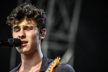 Vali Balosu - Shawn Mendes konserde