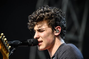 Vali Balosu - Shawn Mendes konserde