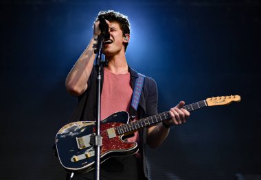 Governors Ball - Shawn Mendes in concert