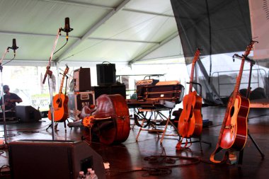 Newport Halk Festivali - Andrew Bird konserde