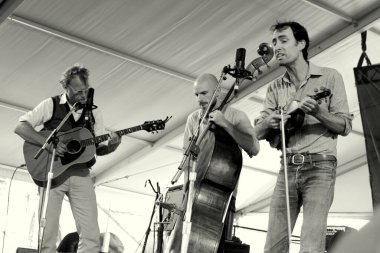 Newport Halk Festivali - Andrew Bird konserde