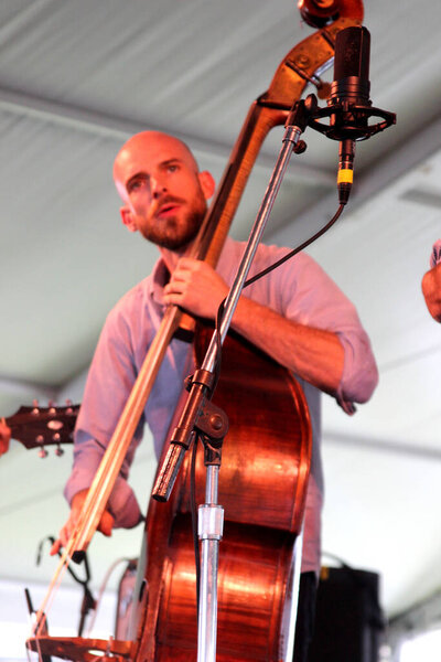 Newport Folk Festival - Andrew Bird in concert