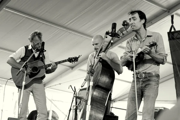 Stock image Newport Folk Festival - Andrew Bird in concert