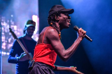The Meadows - Blood Orange konserinde