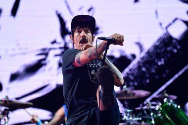 The Meadows - Red Hot Chili Peppers konserde