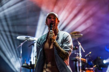 Dirty Heads, PNC Banka Sanat Merkezi 'nde konser verdi.