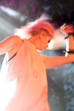 New York 'taki Central Park Yaz Sahnesi' nde konserde çöp.