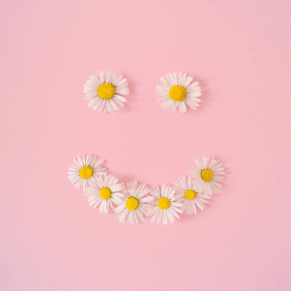 Smiley made of summer daisy flowers on pastel pink background. Minimal creative composition. Flat lay concept. Top of view.