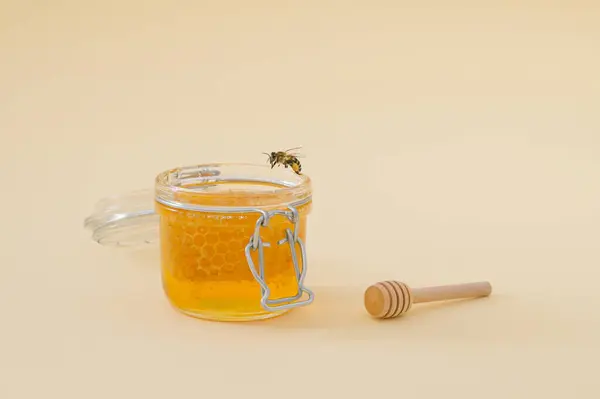 Creative layout made with jar full of natural honey and honeycombs, honey bee and honey dipper on light cream background. Minimal nature concept. Trendy healthy food idea. Honey aesthetic.