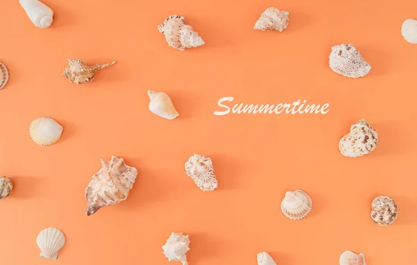 Trendy summer pattern made of sea shells on pastel peachy orange background. Nature summertime concept. Minimal sea shells pattern composition. Creative exotic flat lay idea. Sea shells aesthetic.